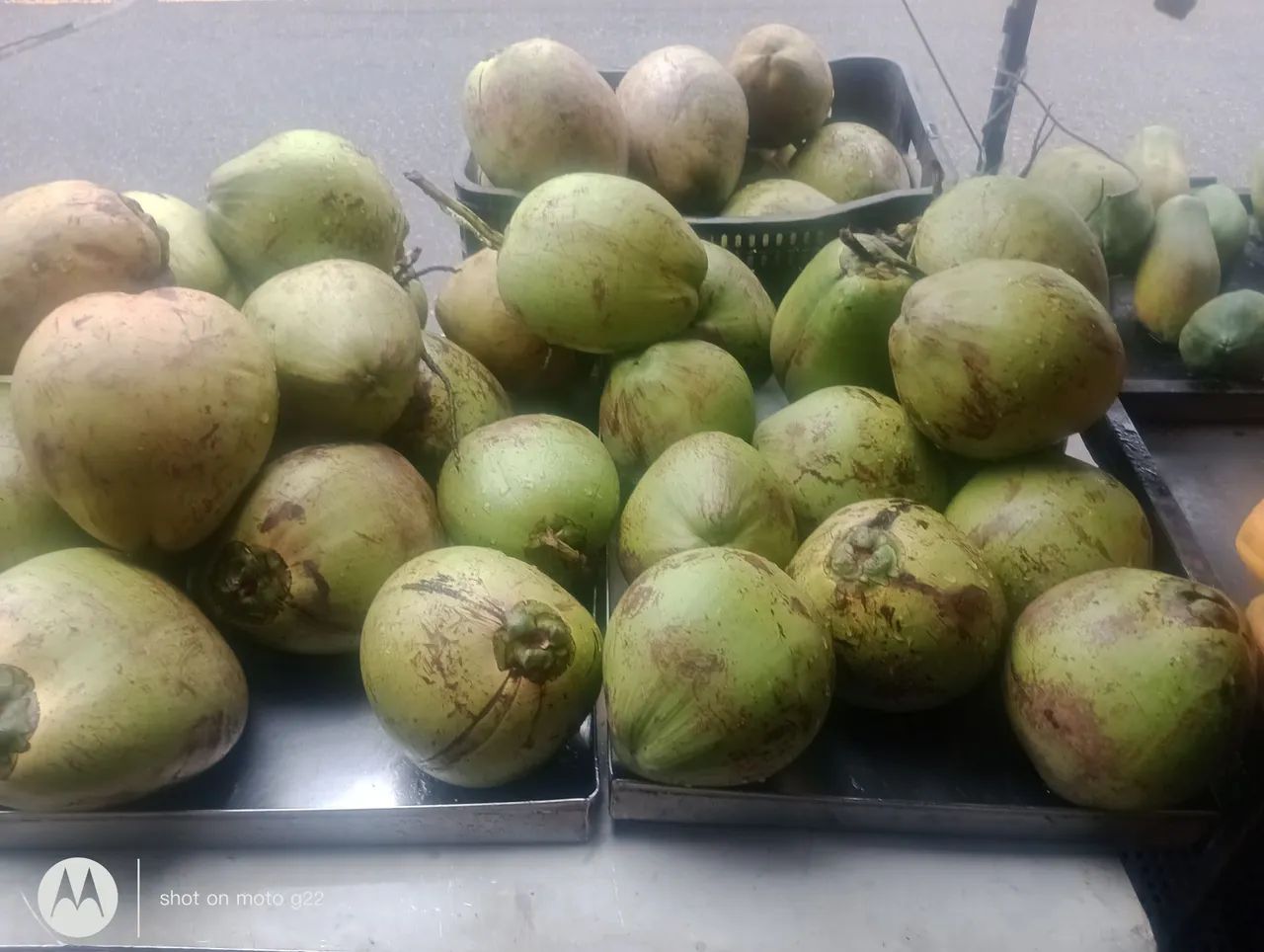 Coco com água. Coco verde. - Foto 3