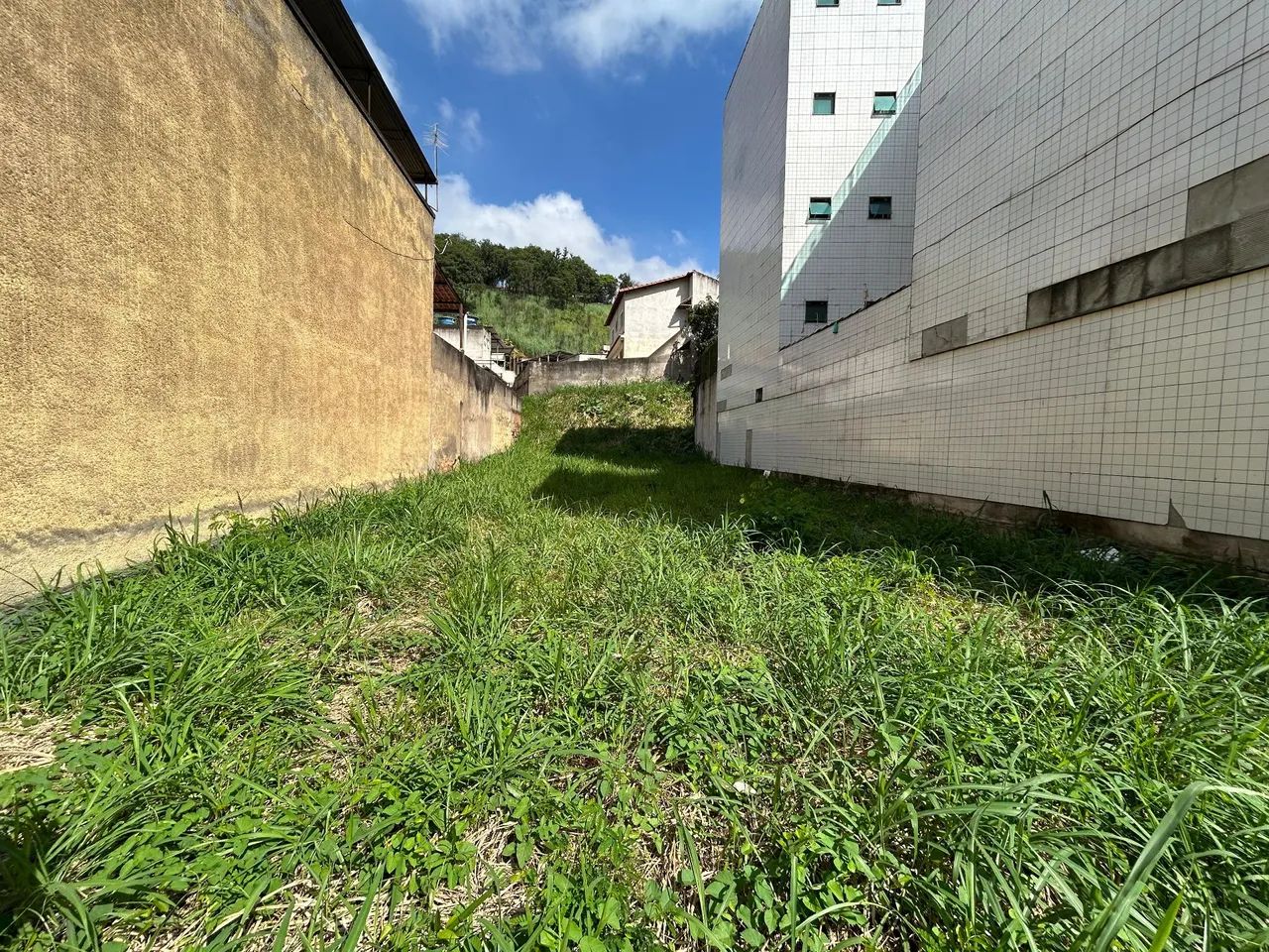 Foto - Barra Mansa - Ano Bom