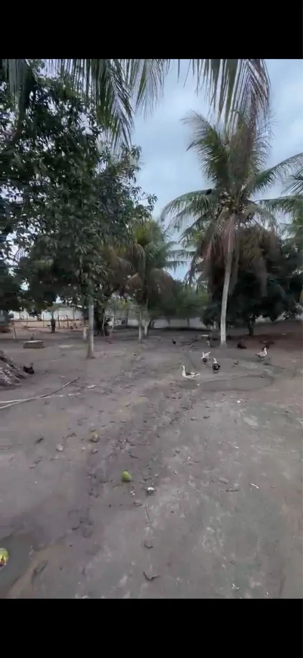 Chácara no pau ferro próximo a Teotônio e Junqueiro  - Foto 3