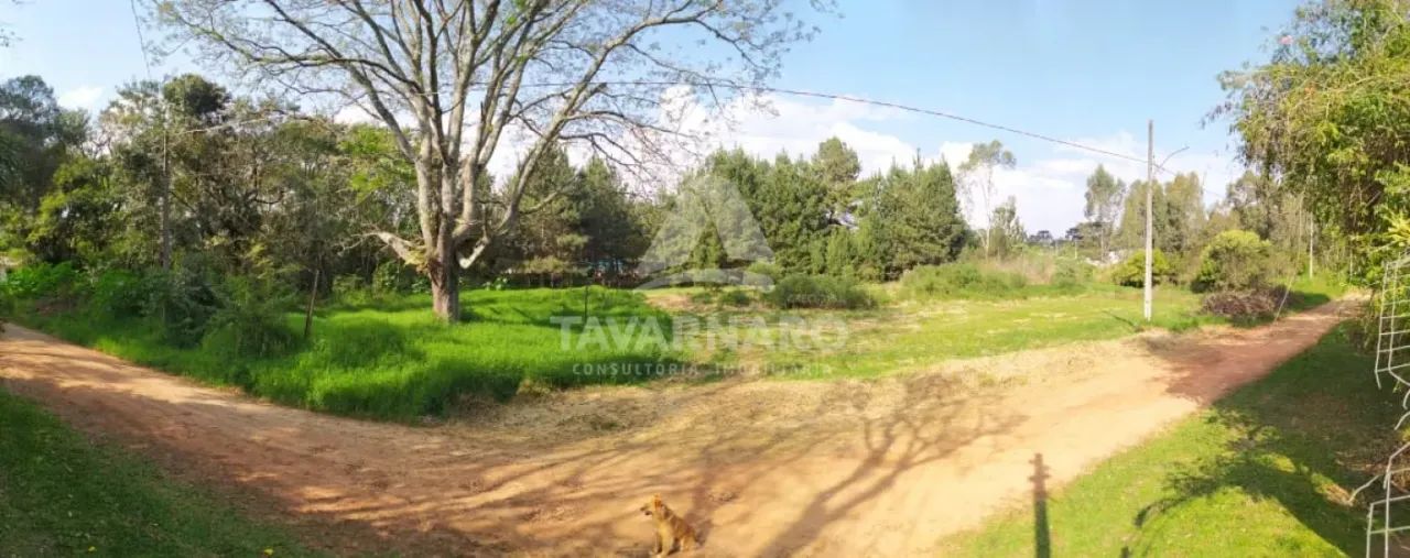 Terreno Padrão em Ponta Grossa