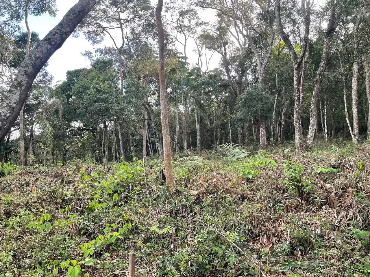 Terreno em declive Mairipora - 1200m - Foto 5