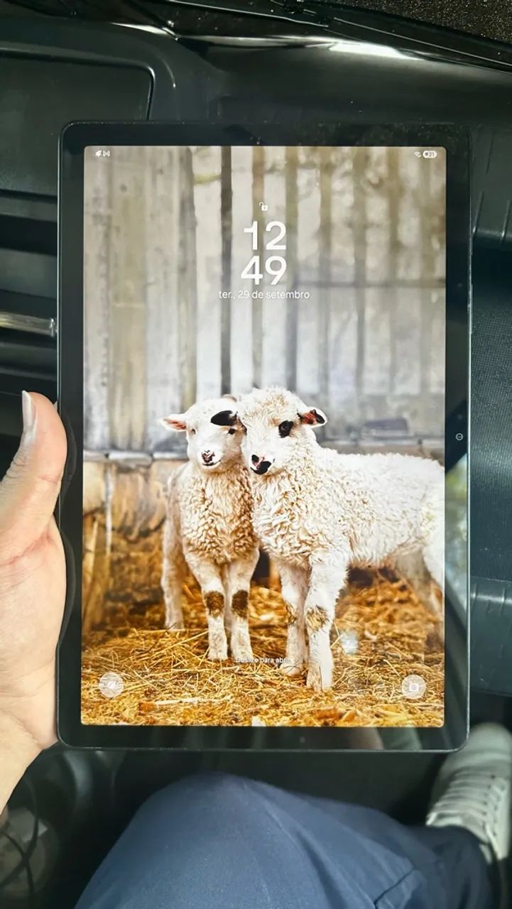 Tablet Galaxy Tab 9+ (pouco tempo de uso)