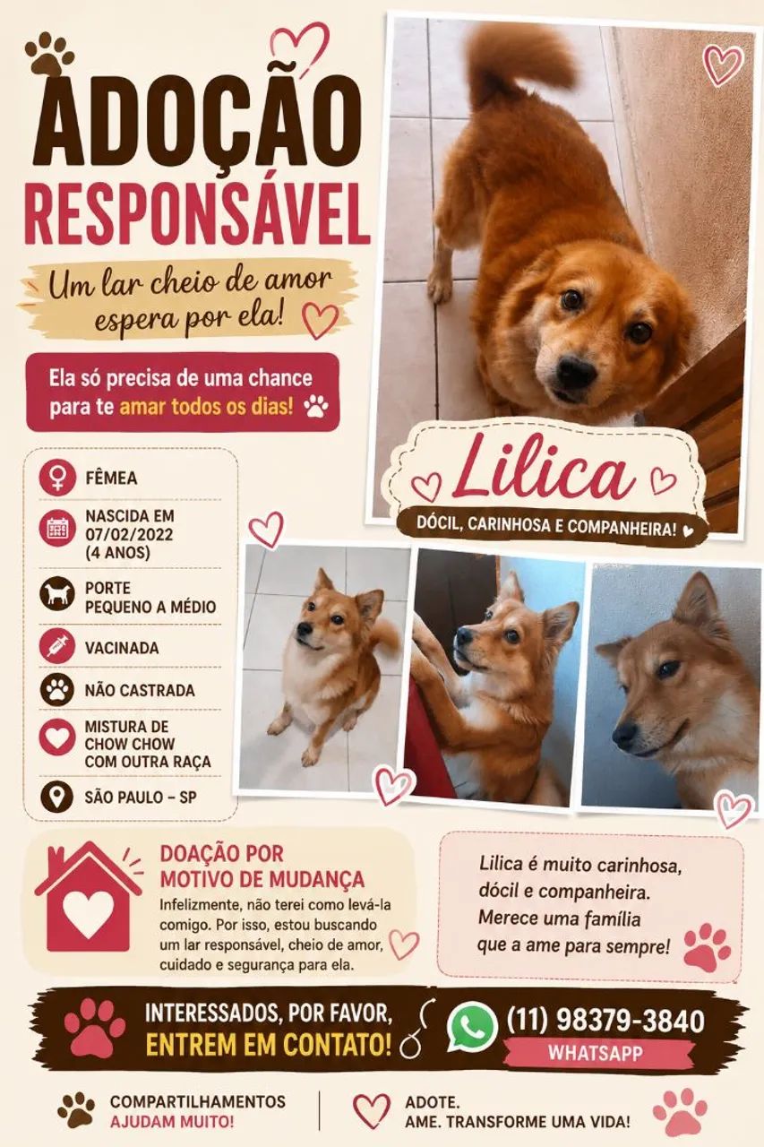 ? ADOÇÃO RESPONSÁVEL - S ÃO PAULO/SP ? - Foto 2