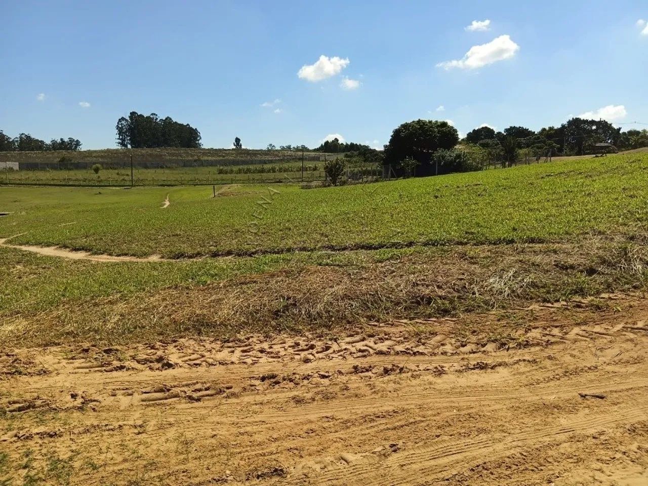 lotes em alambari
