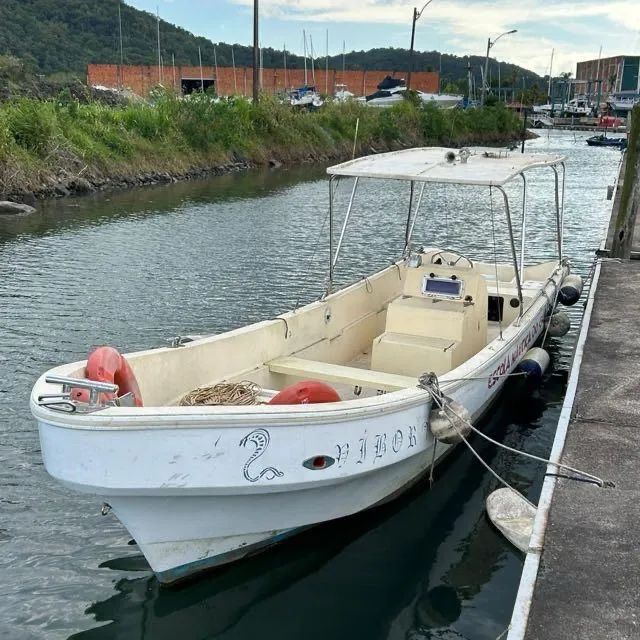 Panga 26 pés 
