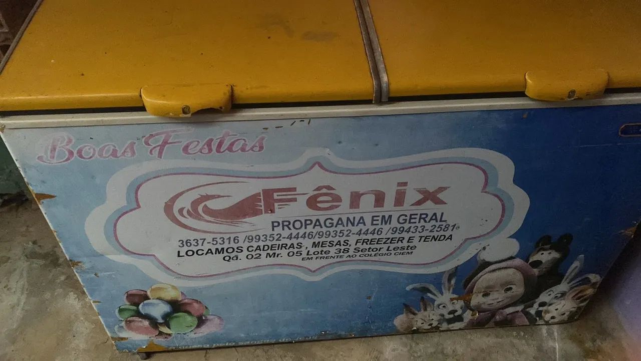 Frezee horizontal 534 litros e caixas de litro?s e 600