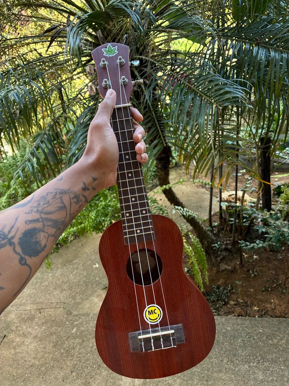 Ukulele 