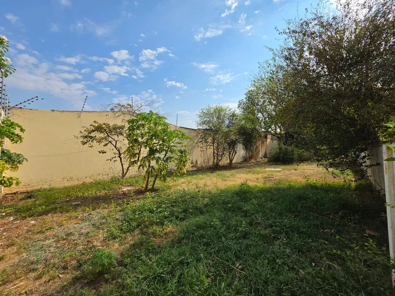OPORTUNIDADE! Imóvel com 1.610 m² no Centro de Várzea Grande - Foto 3