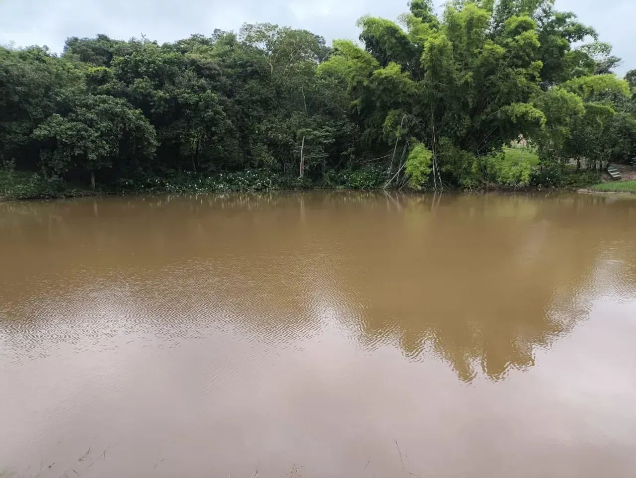 Fazenda para gado ,plantio grãos - Foto 5