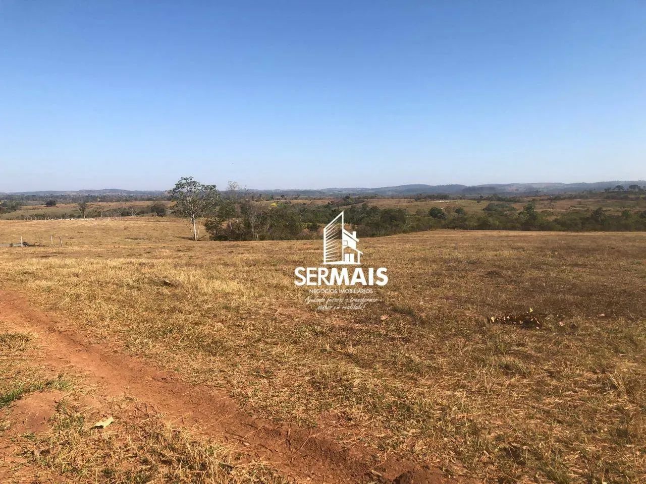 Fazenda de Dupla Aptidão em Alta Floresta - Foto 3