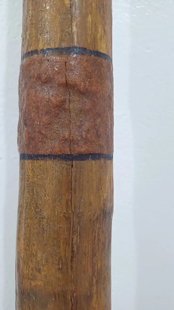 Didgeridoo (instrumento muscical) - Foto 2