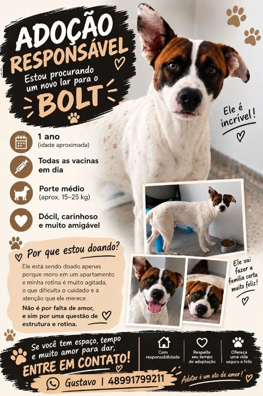 ADOCAO RESPONSÁVEL  - Bolt 1 ano