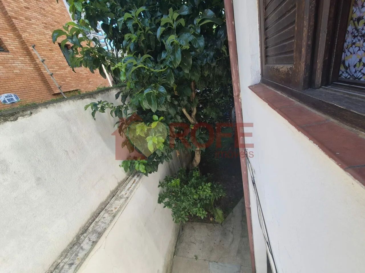 450 m² em Moema Índios - Ideal para Operação de Saúde, Bem-Estar ou Treinamento Personaliz - Foto 3