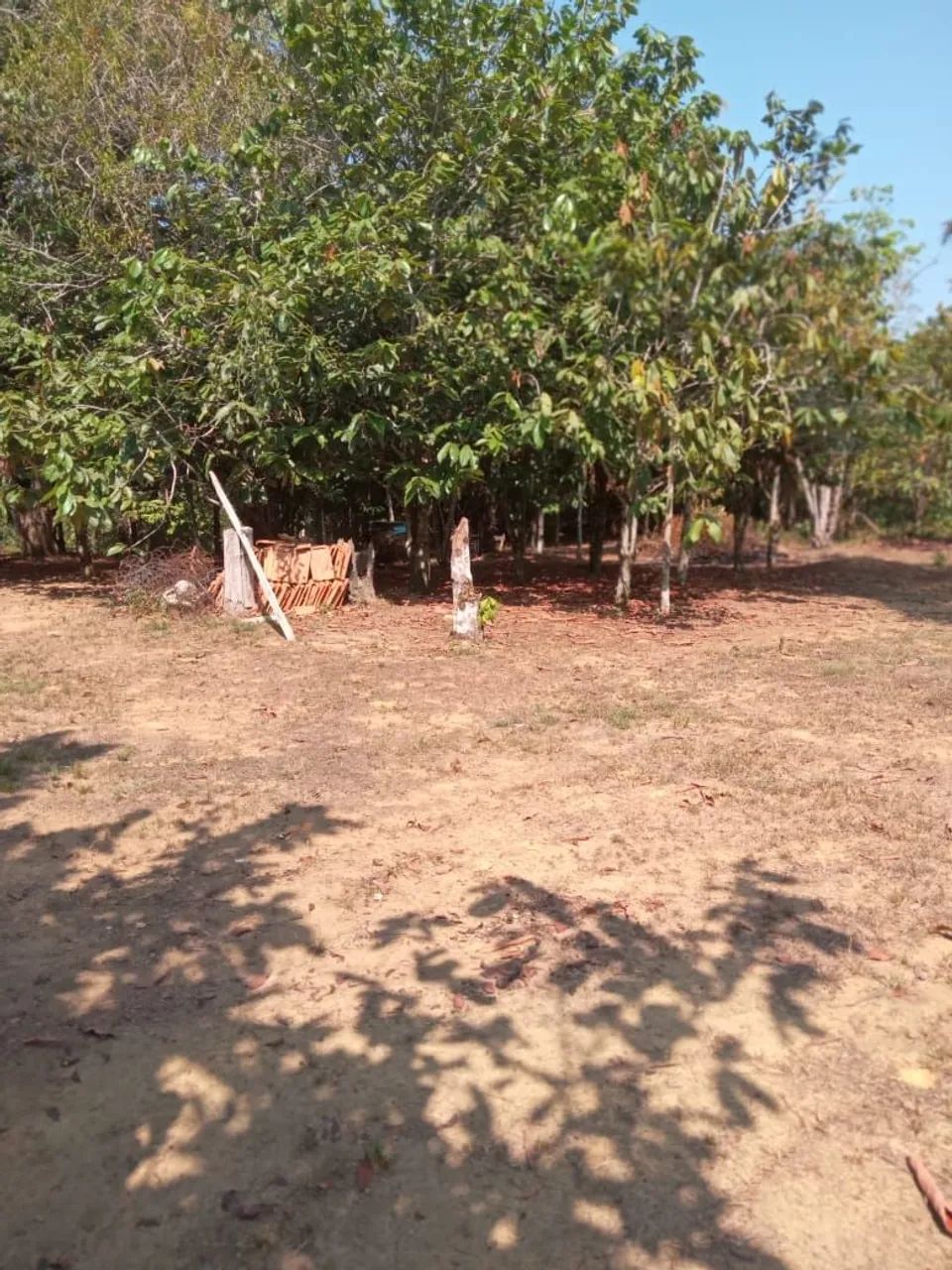 Terreno no Tarumã-Açú 200x1000 - Foto 2