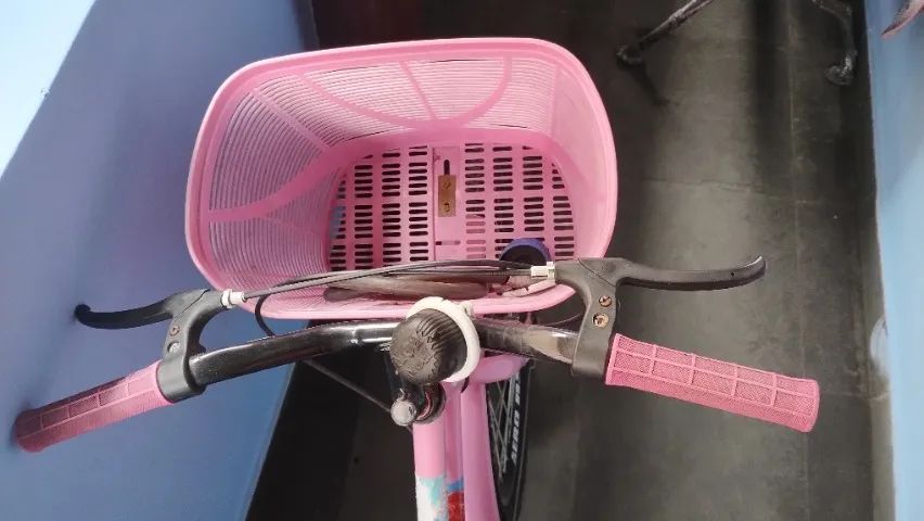 Bicicleta aro 24