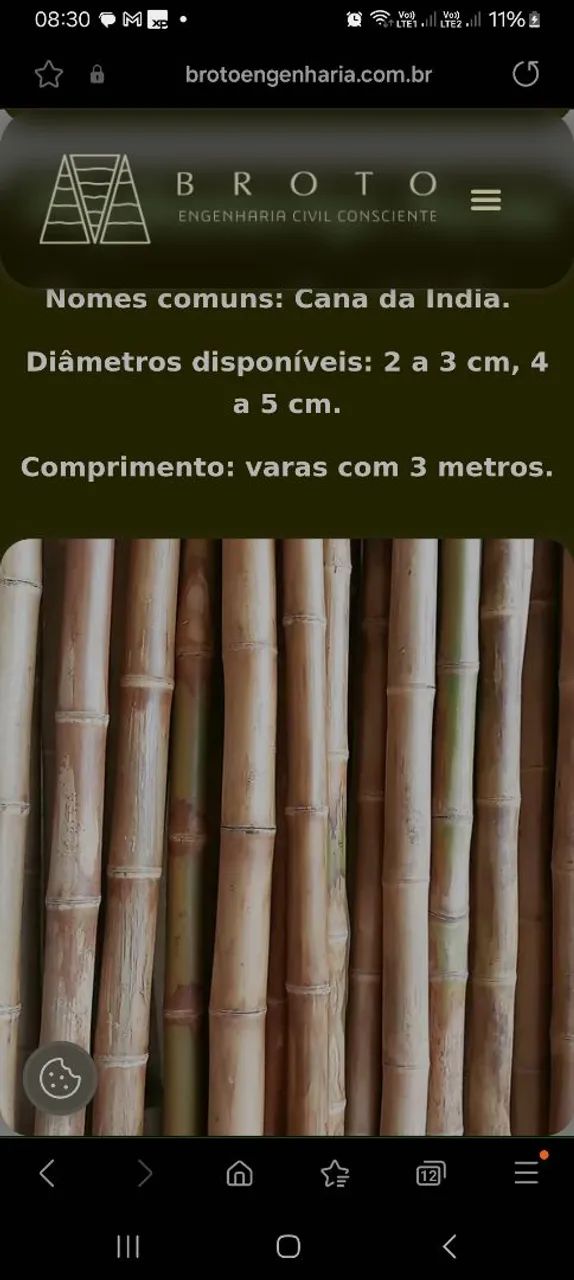 DÚZIA de varas bambu tratado