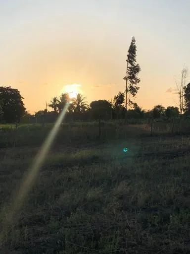 Lote no Pontal do Coruripe 