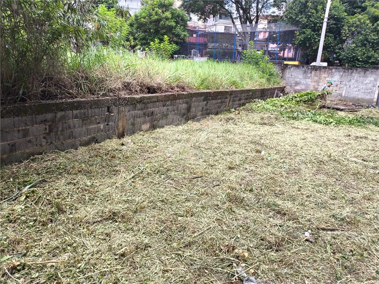Terreno de 250 m2 na Vila Mascote