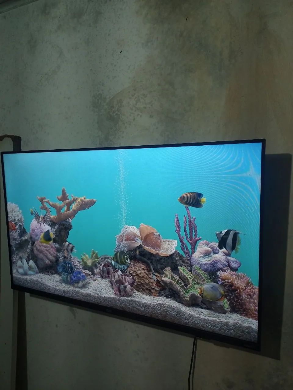 Vendo Tv 43 polegadas e 