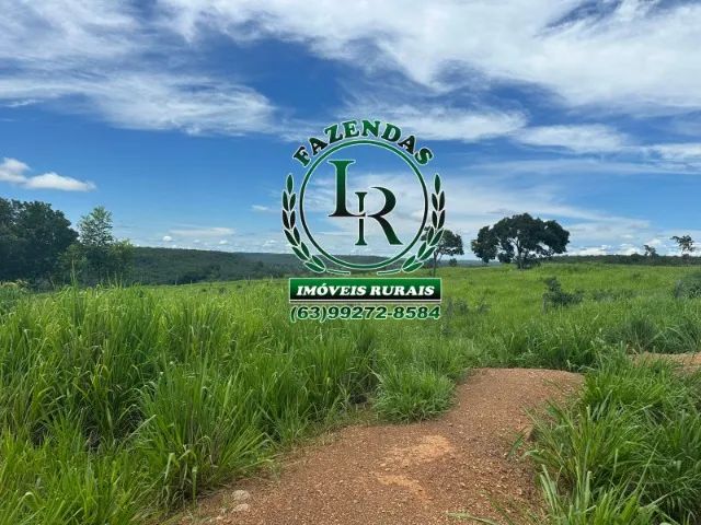 Fazenda 203.5 Alqueires Dupla Aptidão Estado Tocantins - Foto 3