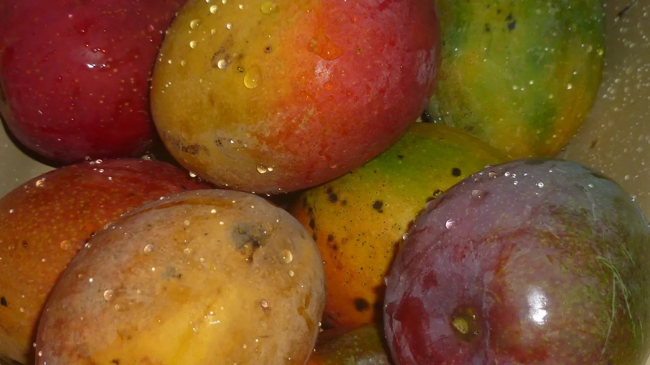 Câmera digital Lumix FH25 - Foto 6