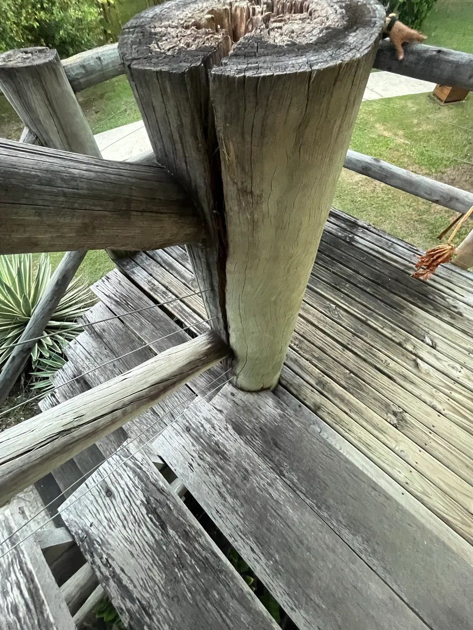 Rack - Foto 2
