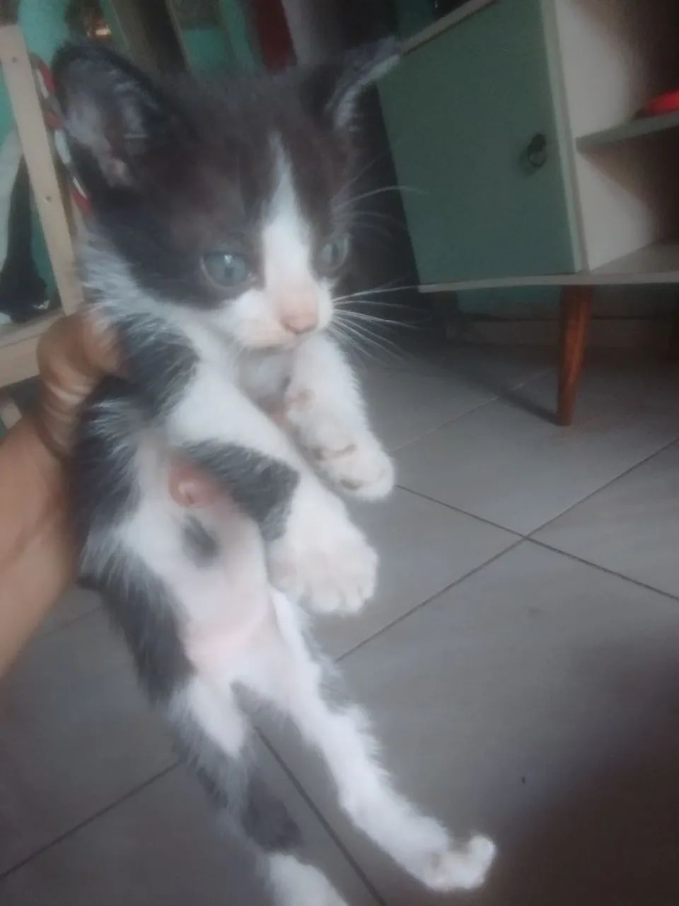 Com 2 meses  - Foto 3