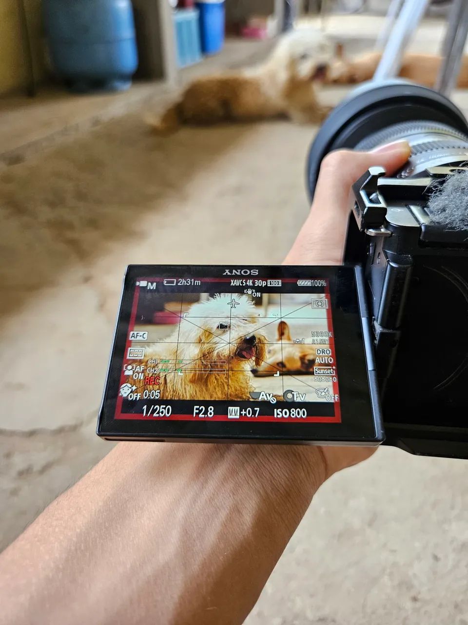 Sony ZV-E10 + cage smallrig - Foto 5