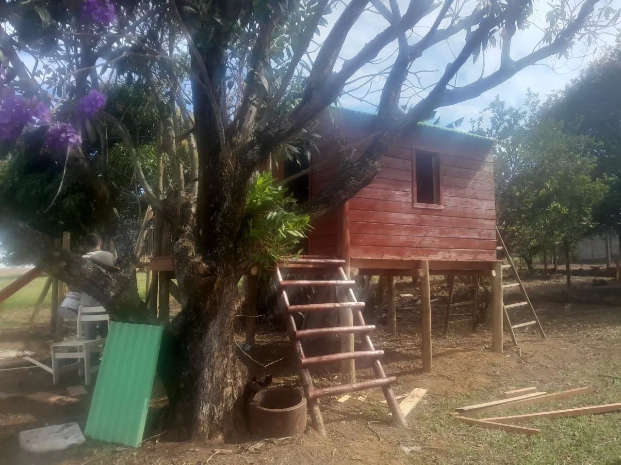 Casa de tarzan - Foto 3