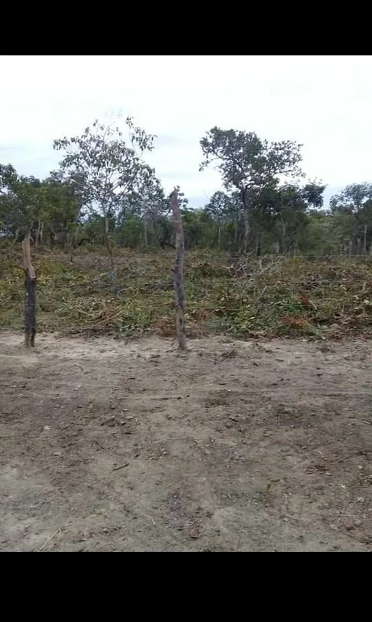 Foto - Rondonópolis - Área Rural de Rondonópolis