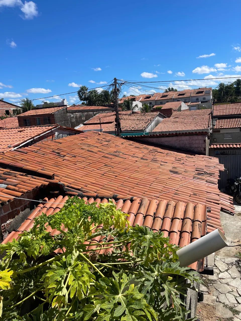 Telhado completo - Foto 2