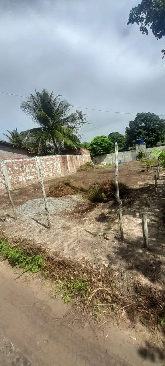 Lote a venda 11 X 25