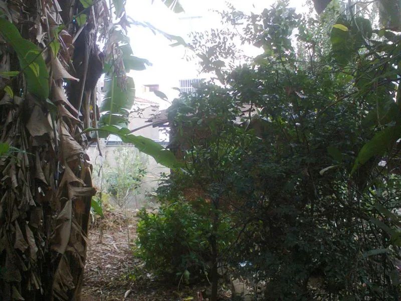 EXCELENTE LOTE 760 M2- SALGADO FILHO - Foto 5