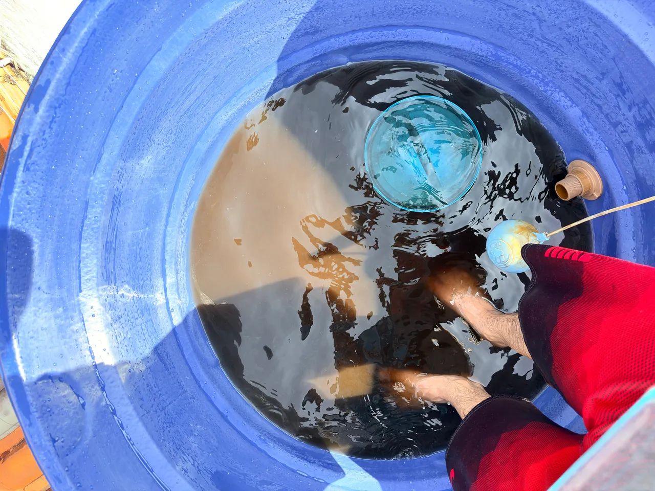Dedetização e limpeza de caixa d?água  - Foto 3