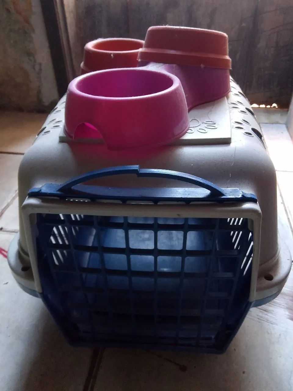 Transporte de gato,caixa 20 reais 
