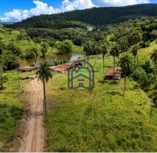 Fazenda para Venda em Mateus Leme - Foto 4