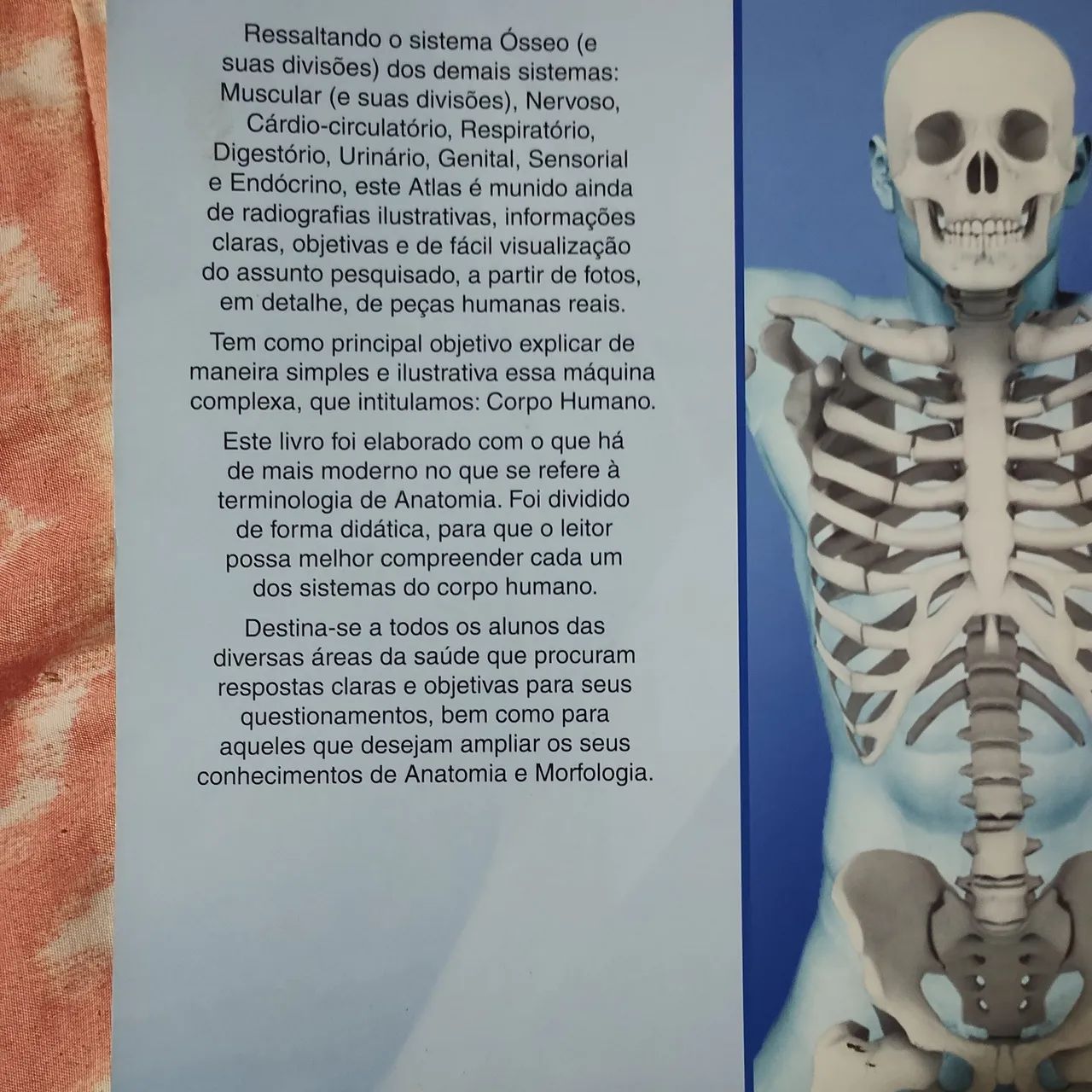 Livro de anatomia  - Foto 3