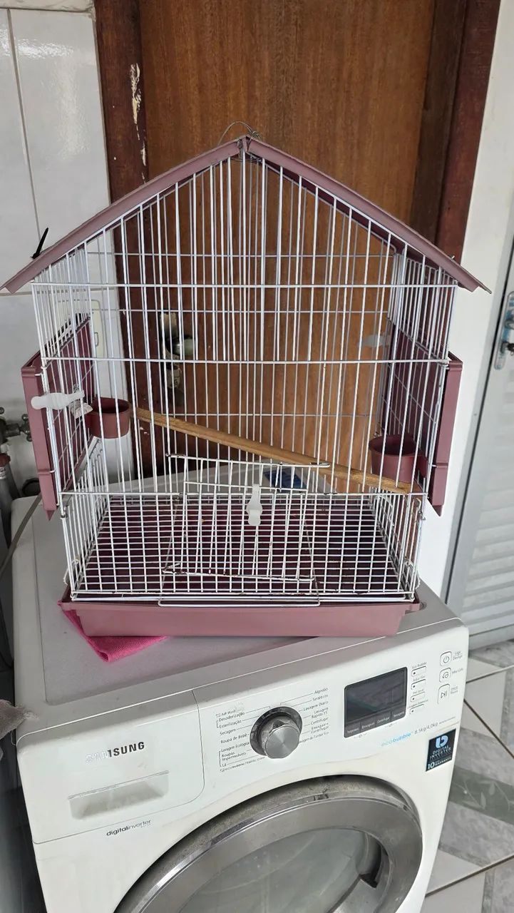 Gaiola para passaros