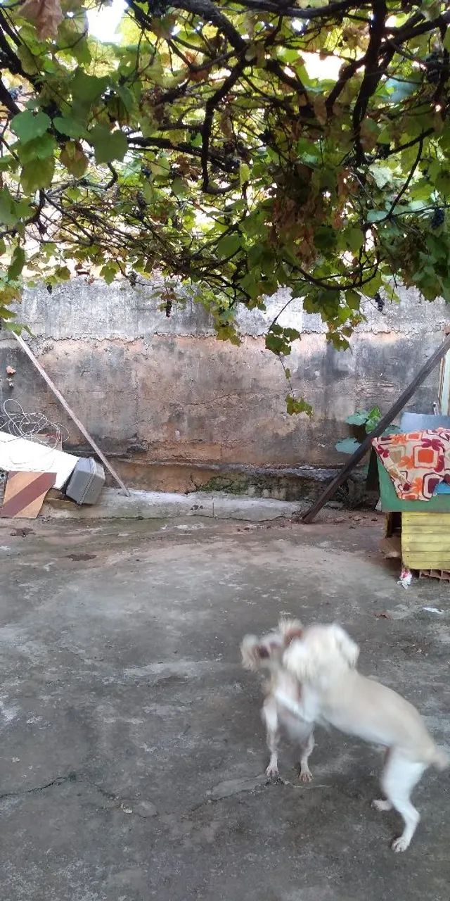 Casa  - Foto 5