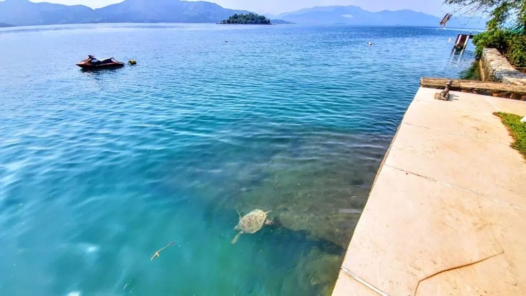 Foto - Angra dos Reis - Camorim Pequeno