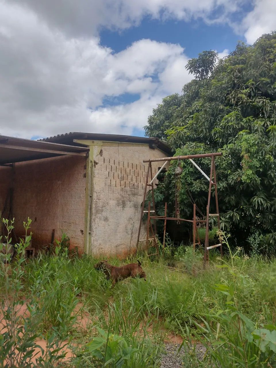 Vendo se  barato com urgência  - Foto 5