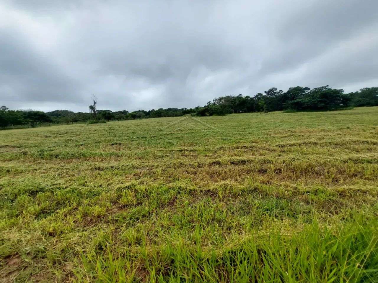 Excelente lote no PALMAS DEL REY! - Foto 4