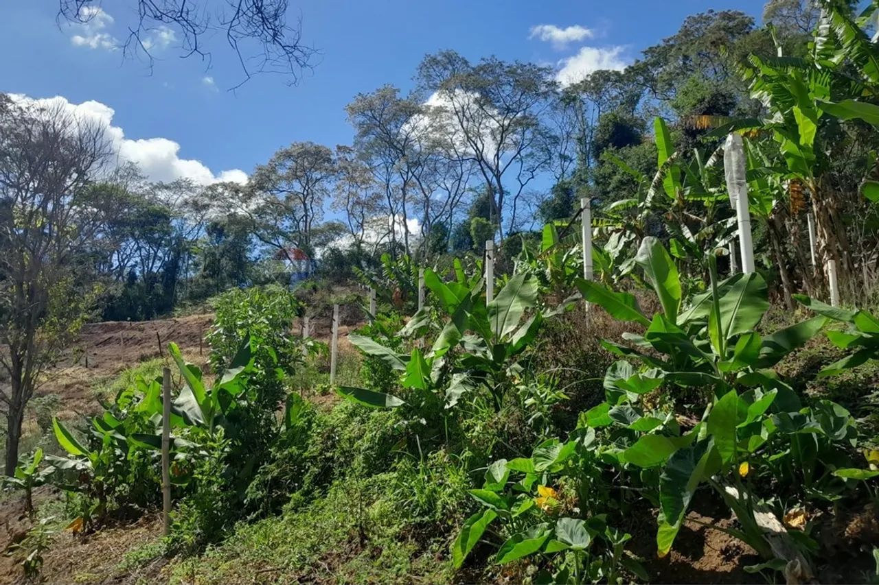 VENDO CHÁCARA EM CONDOMÍNIO RURAL! - Foto 5
