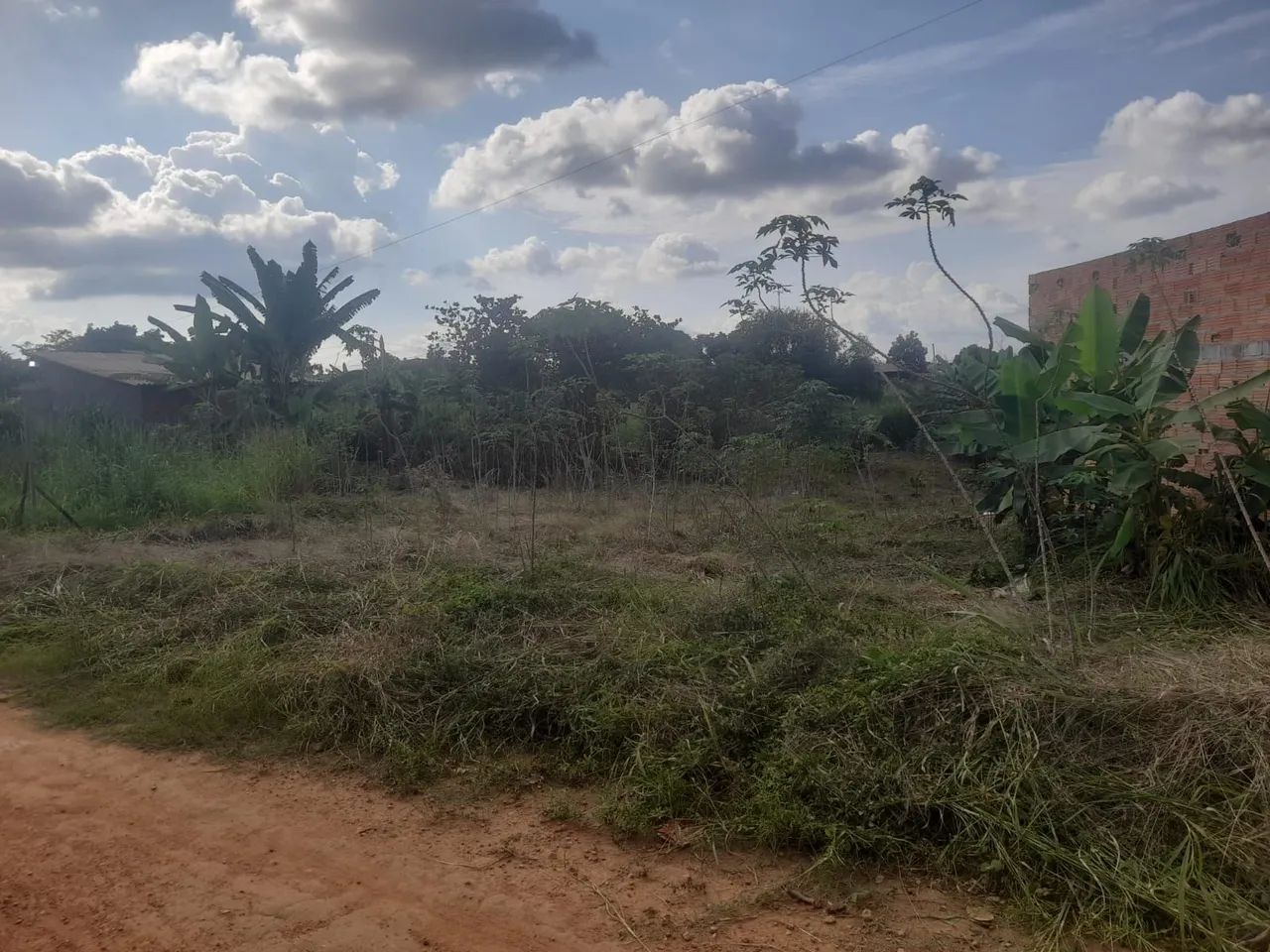 Vende-se  uma mini chácara  - Foto 5