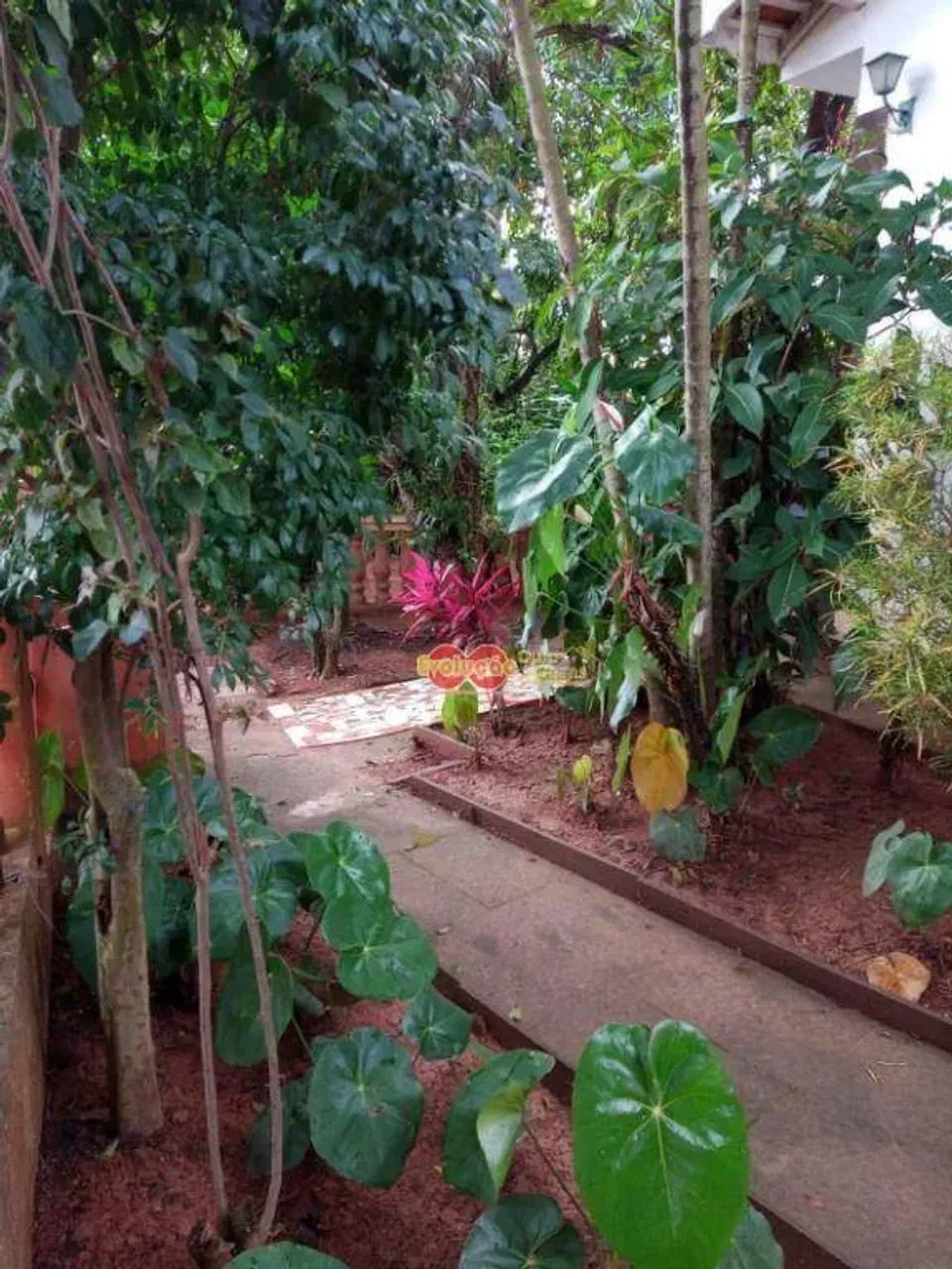 Casa - Vila São Caetano - Foto 2