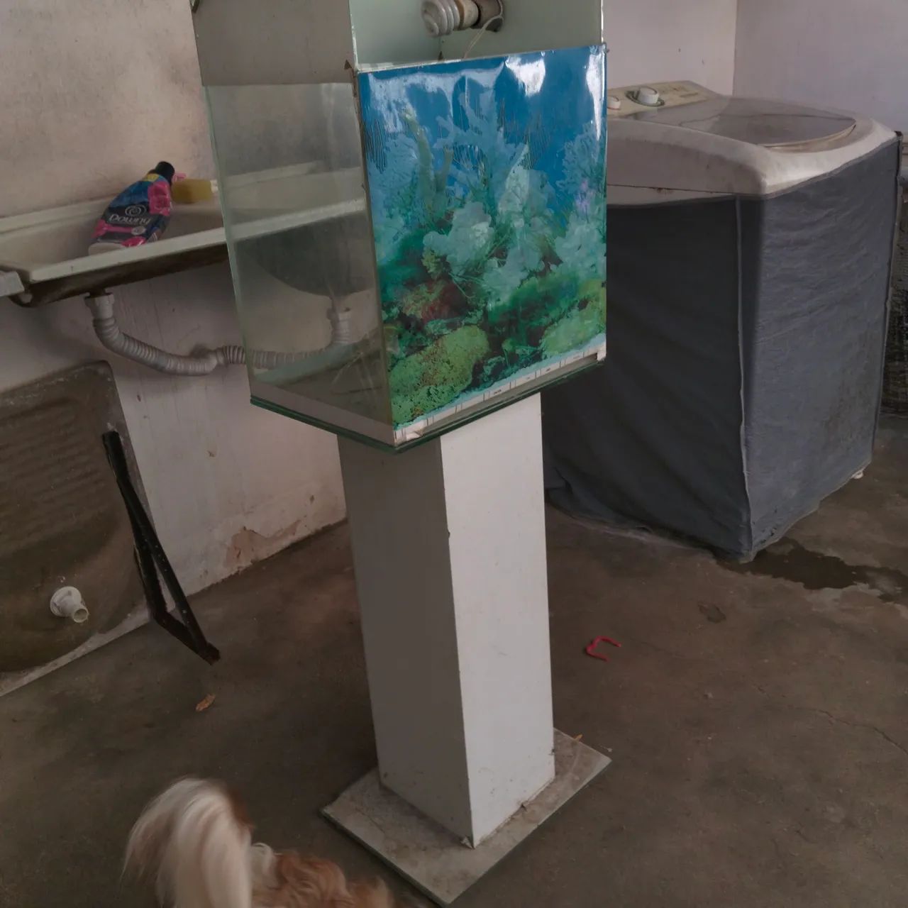 Aquário com base de vidro