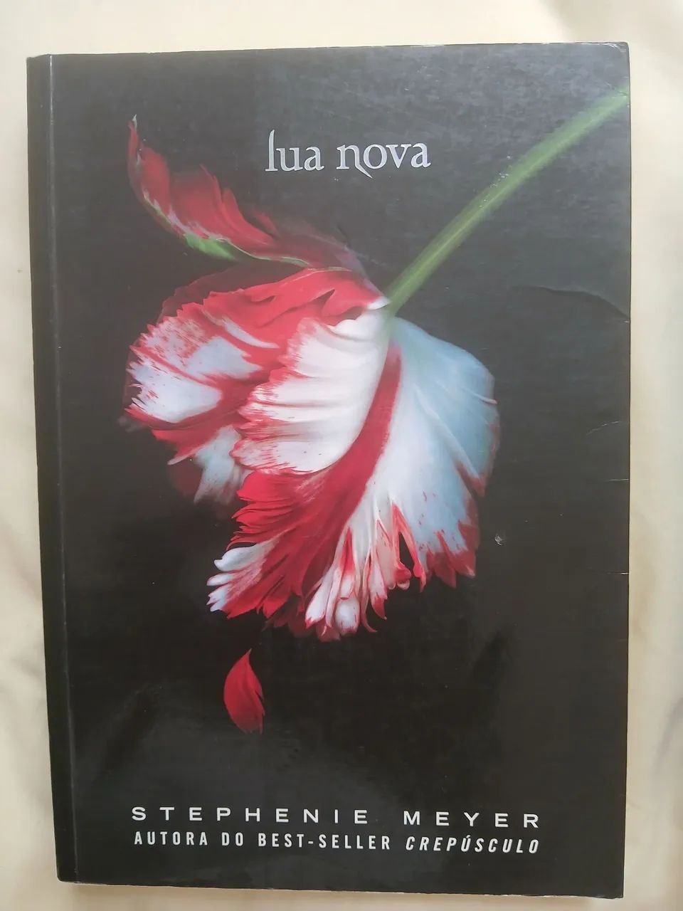 Livros - Foto 4