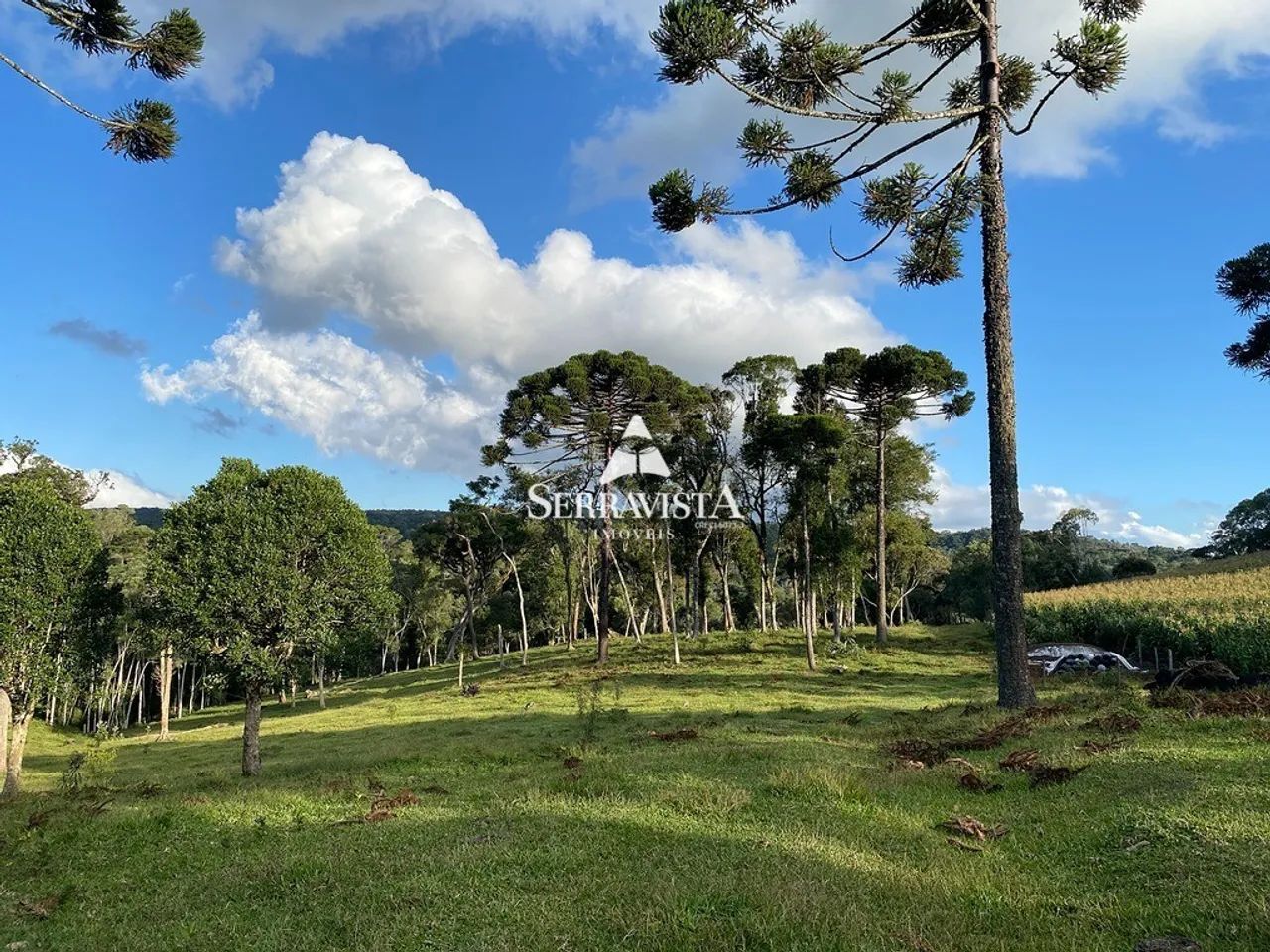 Chácara com pastagem e nascentes - 75.468 m2 - Foto 2