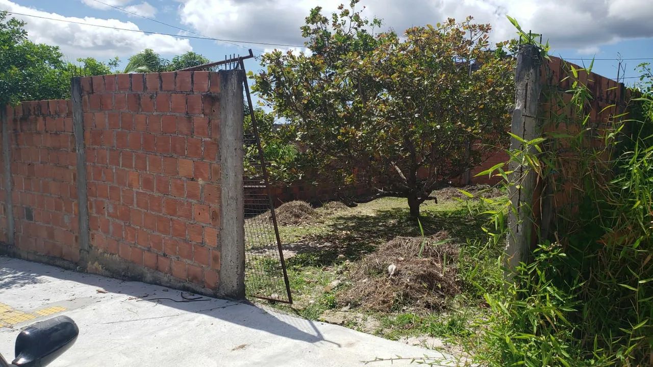 Terreno Jardim limoeiro  - Foto 2