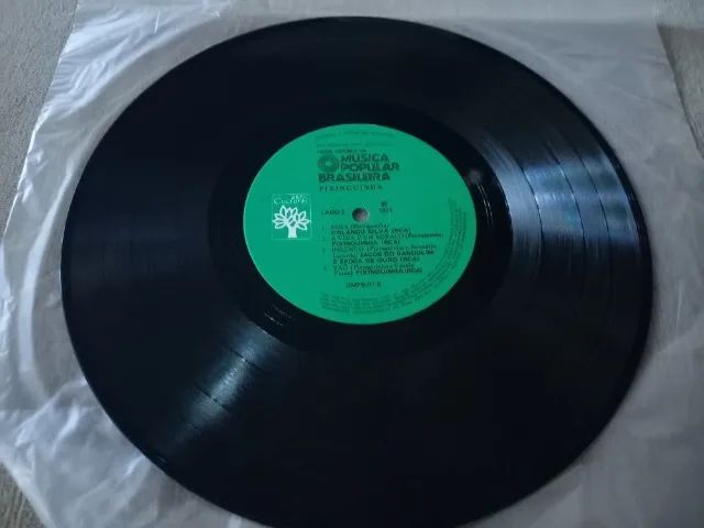 Lp Disco de vinil Pixinguinha - Nova História da MPB - Foto 5